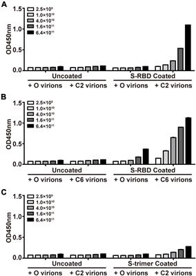 Receptor-binding domain-anchored peptides block binding of severe acute respiratory syndrome coronavirus 2 spike proteins with cell surface angiotensin-converting enzyme 2